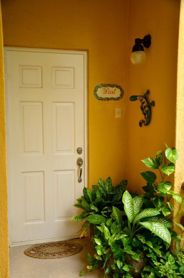 Las Palmas - Palma Xiat & Cocoyol Playa del Carmen Eksteriør bilde